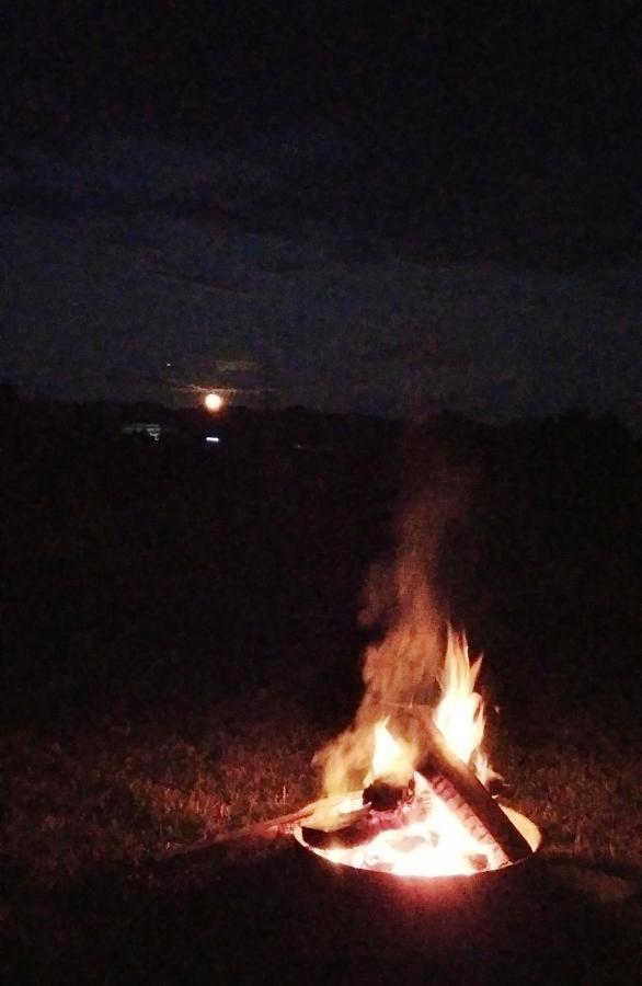 Valea Danului La Livada 빌라 외부 사진