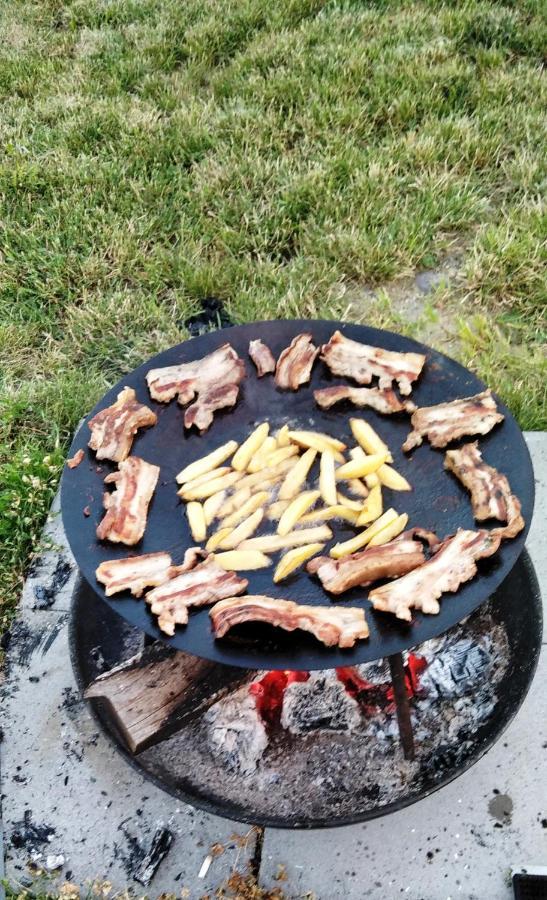 Valea Danului La Livada 빌라 외부 사진