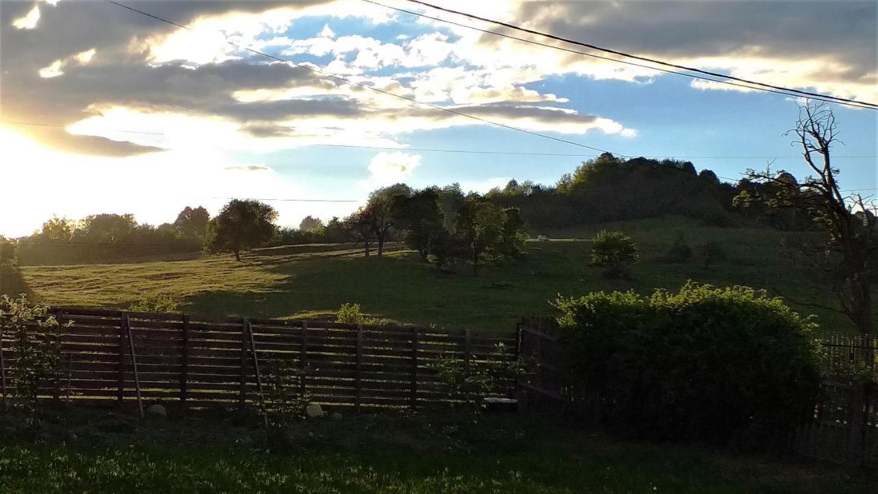 Valea Danului La Livada 빌라 외부 사진