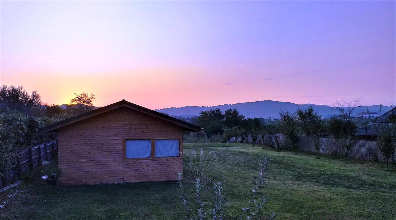 Valea Danului La Livada 빌라 외부 사진