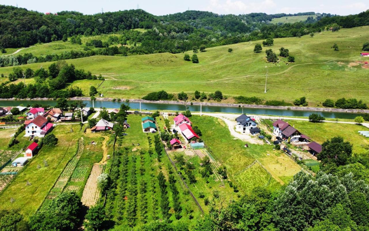 Valea Danului La Livada 빌라 외부 사진