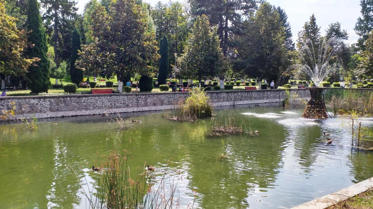 Valea Danului La Livada 빌라 외부 사진